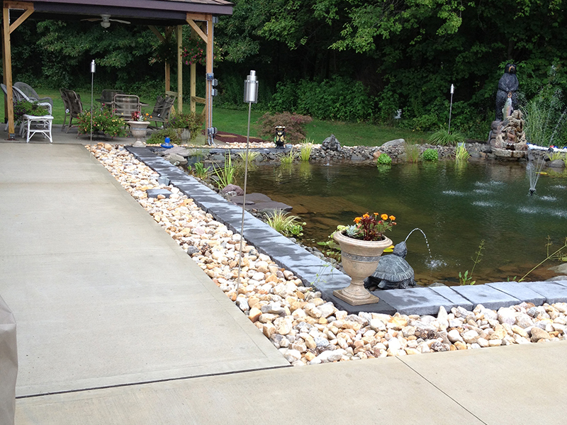  Landscaping around pool
